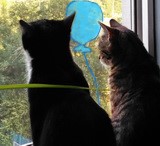 Аватара пользователя