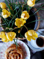 20250205_082220.jpg (224.09 КБ) 17633 просмотра Сначала крокусы купила, не устояла :-)