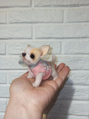 чиш6.jpg (100.66 КБ) 7707 просмотров чиш6.jpg