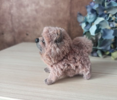 чау2.jpg (115.57 КБ) 8431 просмотр чау2.jpg