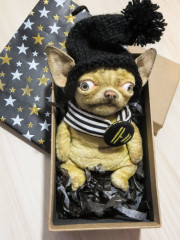 чих2.JPG (168.46 КБ) 7690 просмотров чих2.JPG