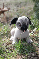 Jq3SK5vwADc.jpg (153.01 КБ) 7041 просмотр Мопс по МК Юлии Стрелковой