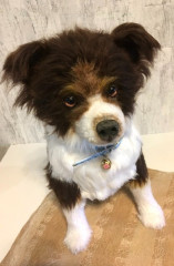 E9BFF661-2E3E-4AD0-A9B3-FD95F1D58DDE.jpeg (86.19 КБ) 7103 просмотра По МК Татьяны Коротких «АУССИ»