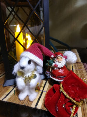 IMG_20211226_163447.jpg (125.04 КБ) 6034 просмотра По МК Татьяны Коротких