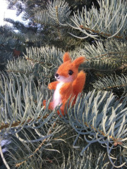 IMG_20201122_135720.jpg (216.87 КБ) 6031 просмотр Белочка по МК Юлии Стрелковой