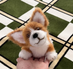 IMG_5972.jpeg (256.19 КБ) 3562 просмотра #коржик Риччи