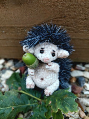 20250817_141244.jpg (211.03 КБ) 1676 просмотров #неколючие ежики