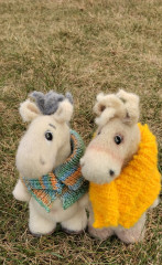 IMG_20250908_111530.jpg (262.55 КБ) 2260 просмотров #коньэлвис