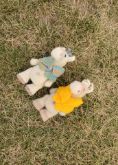 IMG_20250908_111607.jpg (436.46 КБ) 2231 просмотр #коньэлвис