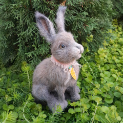 20250918_101541.jpg (403.24 КБ) 2264 просмотра По описанию Наталии Загребиной