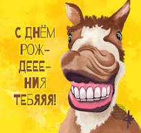 IMG_3935.jpeg