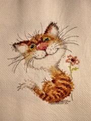 2021-07-19 00-31-55_1626673247682.JPG