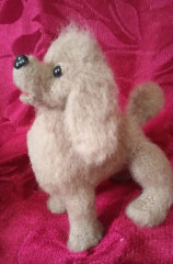 Пудели по МК Юлии Стрелковой. Получилось два брата.