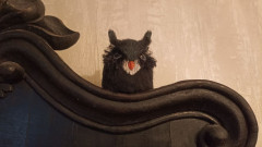 #вяжем любимчиков