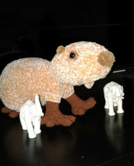 4 Капибара плюш Екат.jpg