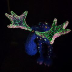 75Dh_LJGWvqRruq8LeiXVfYhjmD4p5qA5p48xjSL9cRssR2iGUrtqCebnxqvHpz4WWRoCt7DVAOxNJKs-12lKUUG.jpg (161.98 КБ) 557 просмотров #элегантный лось