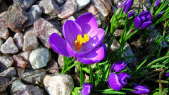 обои для меня (43).jpg