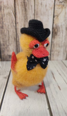 1774185275037 (1).jpg