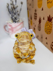 МК Елены Дарченко