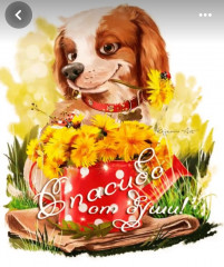 Screenshot_20260526_065328_com_pinterest_MainActivity_edit_1983188228731129.jpg