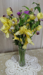 IMG_20260605_192553.jpg