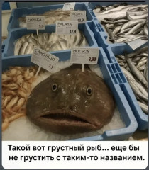 1000010635.jpg