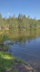 IMG_20260723_144815.jpg
