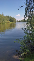 IMG_20260723_144823.jpg