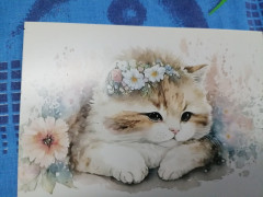 обмен лето (8).jpg