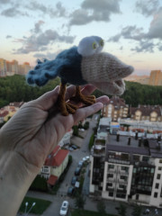 1786212240681.jpg