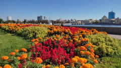 IMG_20260919_135641.jpg