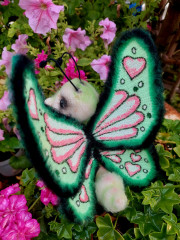 20260921_175812.jpg
