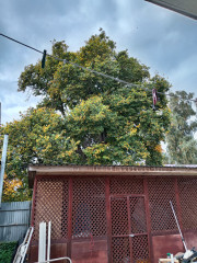 IMG_20260920_093019.jpg