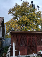 IMG_20260927_172334.jpg