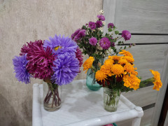 IMG_20261005_230343.jpg