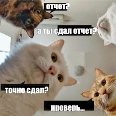 93975b84405776b4e904cb5729b00984.jpg