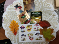 IMG_20261026_123104_800.jpg