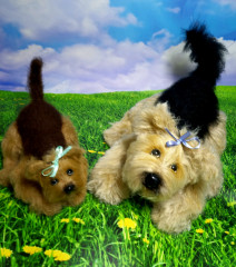 20220423_194328.jpg (282.14 КБ) 5176 просмотров Мои любимые собачульки!