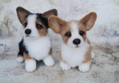 0.jpg (167.31 КБ) 5170 просмотров #коржик риччи