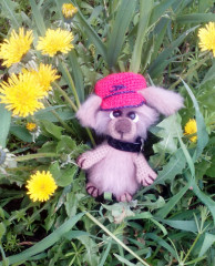 IMG_20220430_164948.jpg (267.57 КБ) 6739 просмотров #забавные собачки