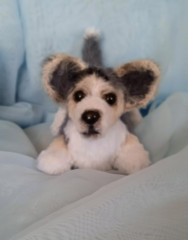 IMG_20220506_084920-01.jpeg (83.01 КБ) 5693 просмотра #коржик Риччи