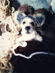 IMG_20220506_084211-01.jpeg (227.76 КБ) 5693 просмотра #коржик Риччи