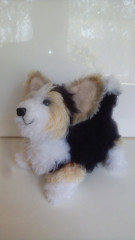 IMG_20220509_094651.jpg (113.65 КБ) 5991 просмотр #Коржик Риччи