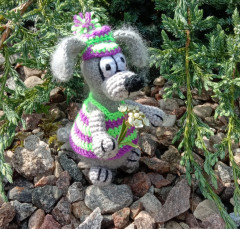 IMG_20220608_094713.JPG (470.42 КБ) 6600 просмотров #Забавные собачки