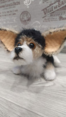 IMG_20220507_200657.jpg (93.11 КБ) 6330 просмотров #коржик Риччи