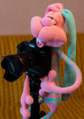 IMG_20220622_142407.jpg (172.16 КБ) 8432 просмотра Заяц Кекс по МК Светланы Перцевой. Фотограф-любитель!