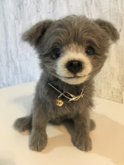 60852966-5EA6-4226-9D26-F5B6E33CAC02.jpeg (133.28 КБ) 5393 просмотра Моя улыбашка!