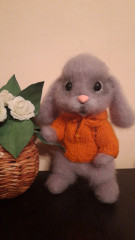 20220627_015127.jpg (112.46 КБ) 8547 просмотров #кролик Степка