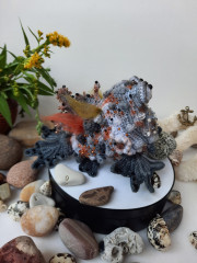 20220629_144018.jpg (193.72 КБ) 6461 просмотр #амфибрахий