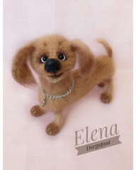 IMG_20220616_070352_036.jpg (201.98 КБ) 5448 просмотров Таксик связан по МК Веры Терекбаевой